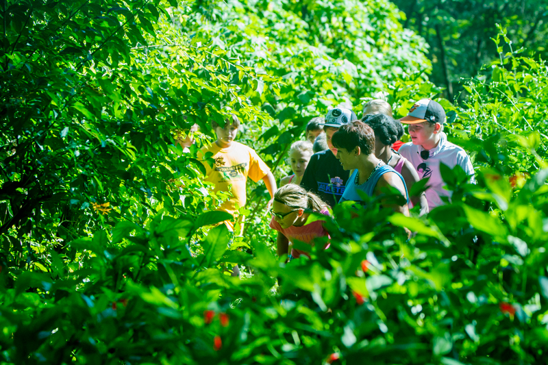 MeadGardensCamp_WP_007RT Winter Park Magazine