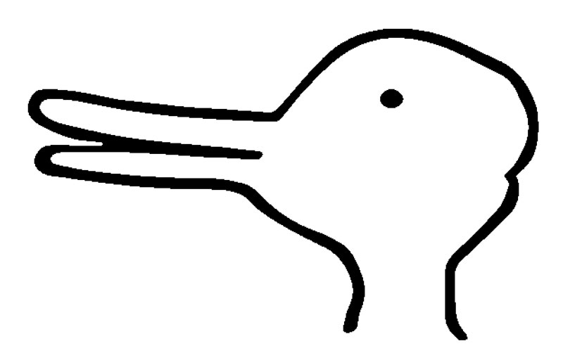 rabbit-duck-illusion